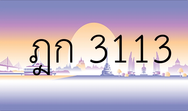 ฎก 3113